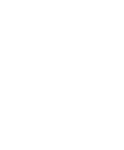  My Evault